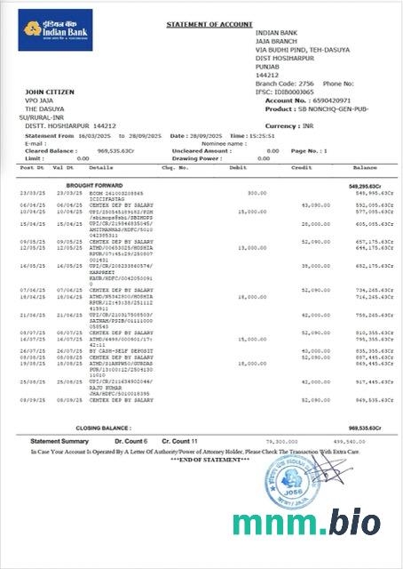 Indian Bank Allahabad wyciąg z konta Word i szablon PDF, Wersja 2